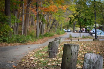 IMG_8846.jpg