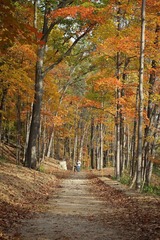 IMG_8848.jpg