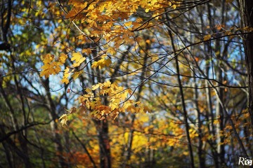 IMG_8853.jpg
