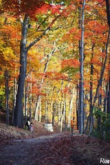 IMG_8910.jpg