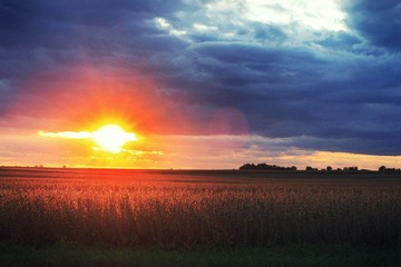 IMG_8676.jpg