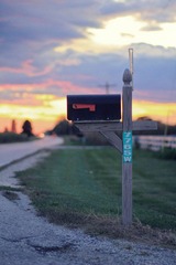 IMG_8713.jpg