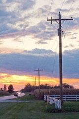 IMG_8732.jpg