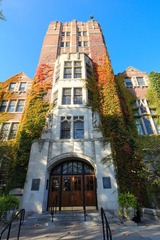 IMG_9221.jpg