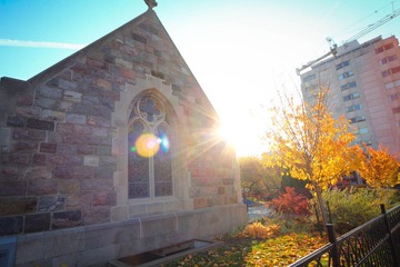 IMG_9252.jpg