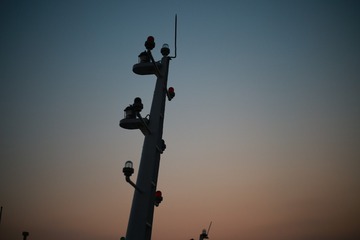 942941