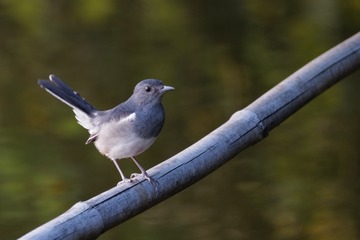 613399