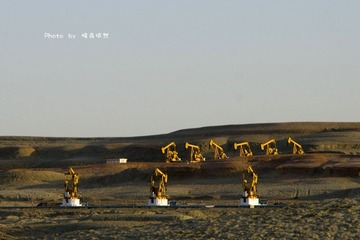 DSC_0066_副本2.jpg