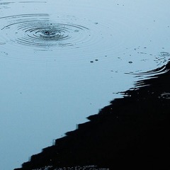 生活场景(26)