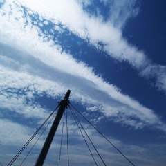生活场景(35)