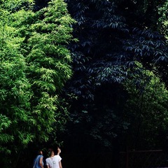 生活场景(40)