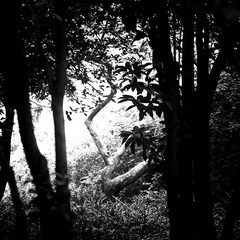 生活场景(42)