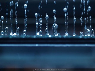 雨之舞