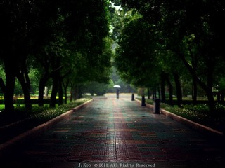 小雨来的不是时候.jpg