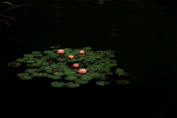 144.jpg