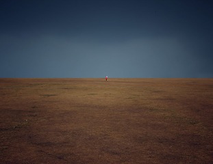 06