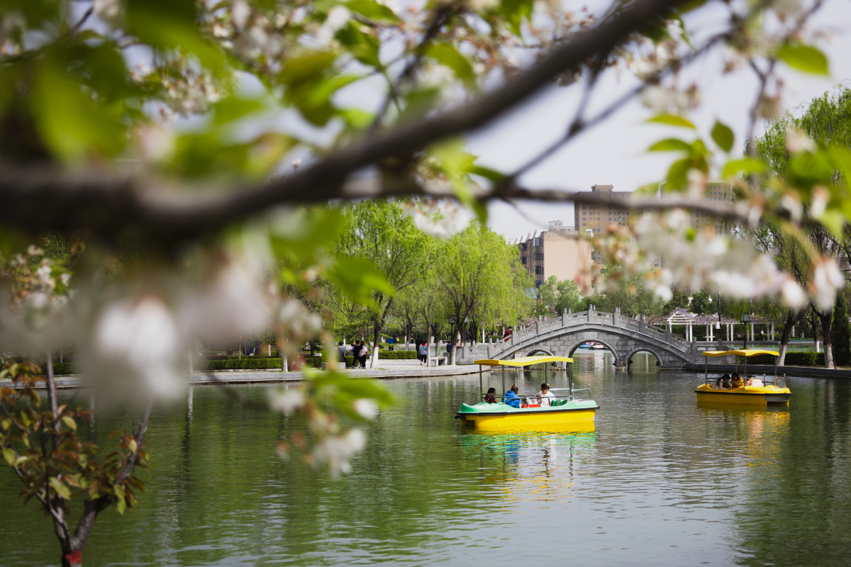 家的印象柳湖公园