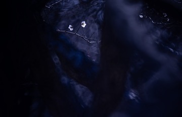 1000070042