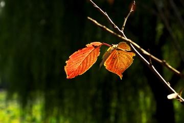 1304289