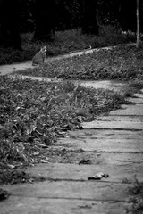 IMG_6807.JPG