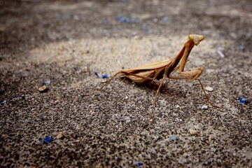 IMG_6154.JPG