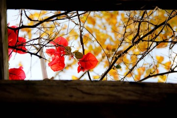 IMG_6871.JPG
