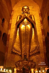 IMG_8247.JPG