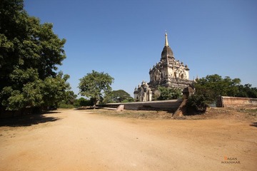 IMG_8338.JPG