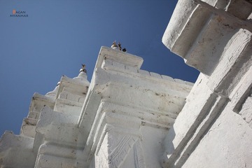 IMG_8360.JPG
