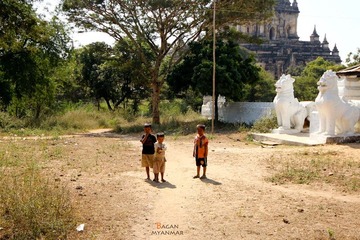 IMG_8362.JPG