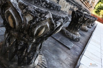 IMG_8411.JPG