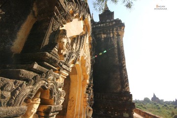IMG_8420.JPG