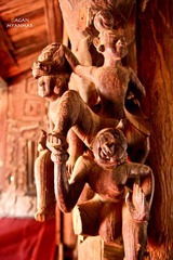 IMG_8781.JPG