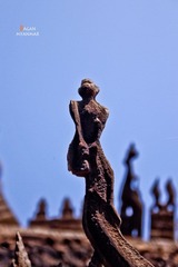 IMG_8791.JPG