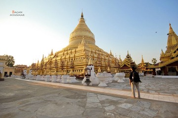 IMG_9340.JPG