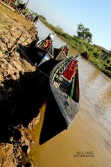 IMG_9621.JPG