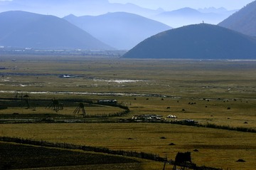 _LW60644.JPG