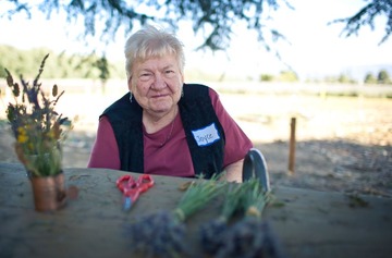 Old lady @ lavender farm