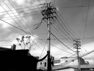 201104245392