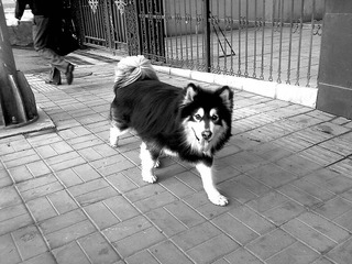 201104225249