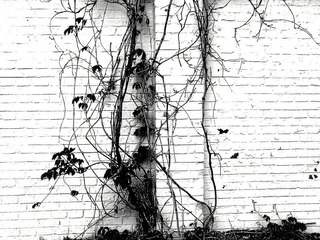 201104195144
