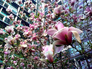 201104064444