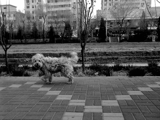 201104044075