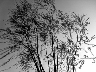 201104084559