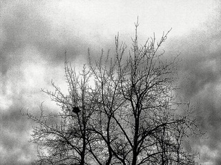 201104074469