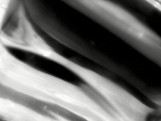201103293581