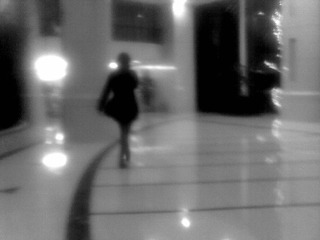 201103253073