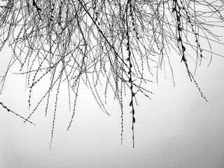 201103201946