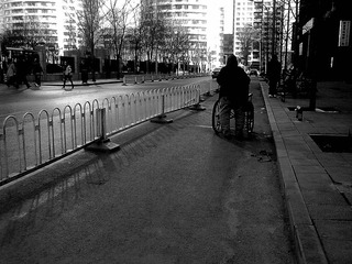 20110316988