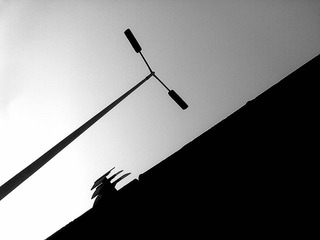 20110315921